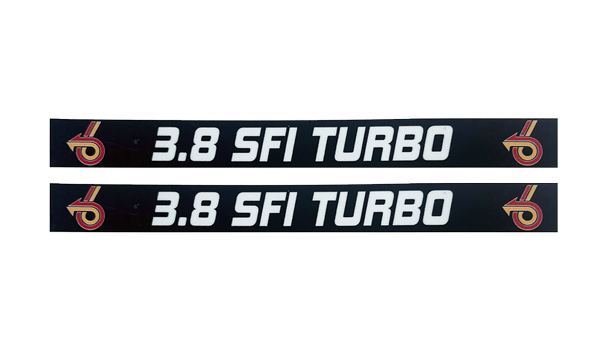 Buick Turbo 3.8 SFI Exterior Door Handle Decals Pair