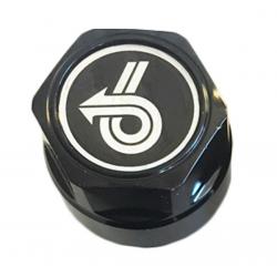 Grand National Power 6 Center Cap Inlay, Silver, Center Cap with snap ring