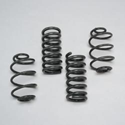 Front and Rear Drop Coil Spring Sets
